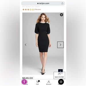 Teri Jon sheath dress